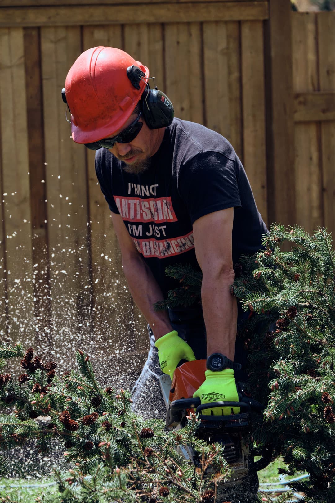 Experienced arborist performing tree care in Durham Region