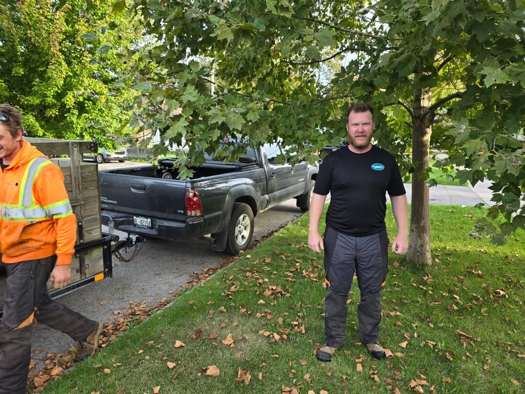 Spots All Over Your Maple Leaves? Here's How to Tell Anthracnose From Tar Spot
