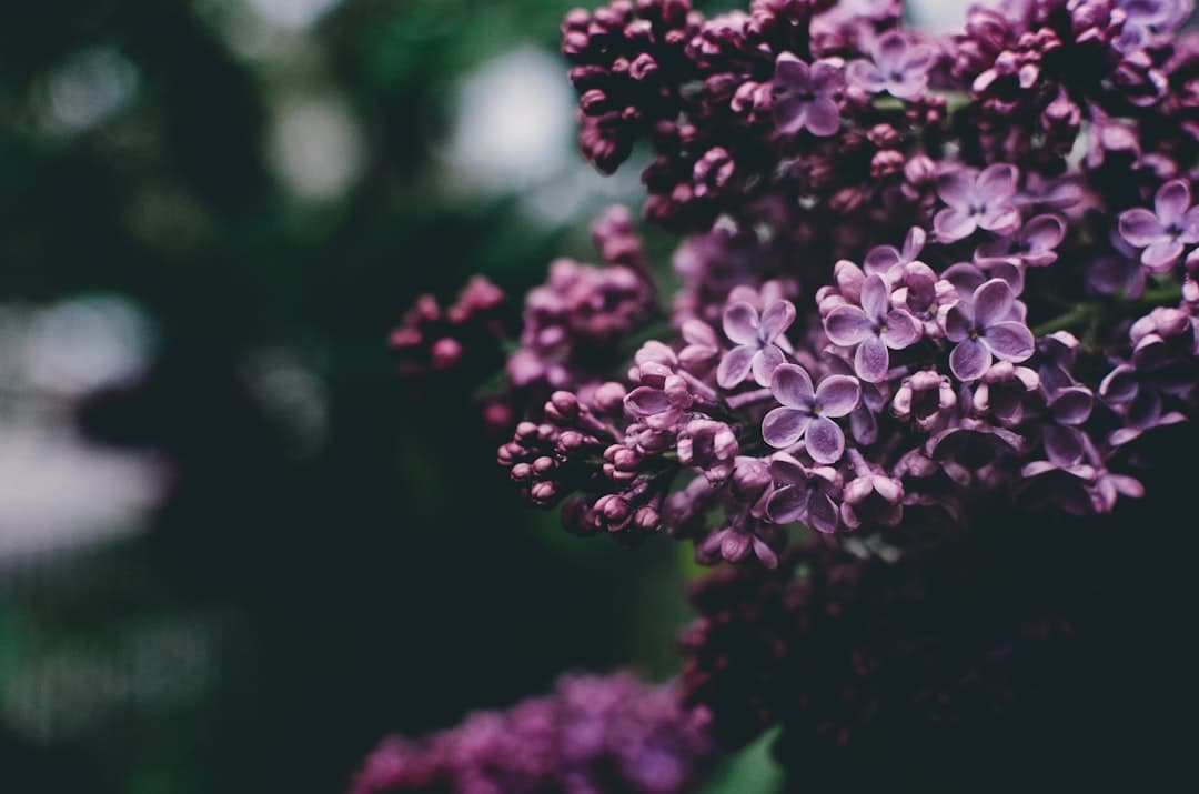 White Powder on Your Leaves? Powdery Mildew, and Why You Probably Shouldn't Treat It