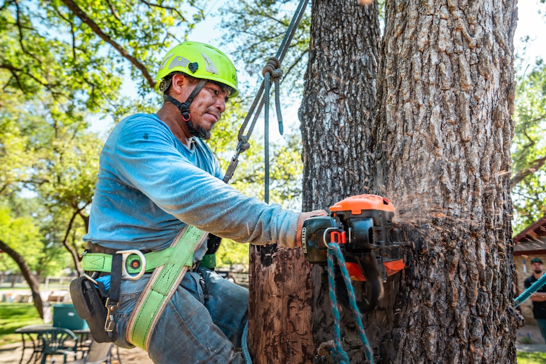 An arborist performing a trunk injection treatment on a mature tree — the same method used for TreeAzin EAB management
